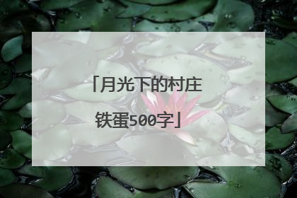 月光下的村庄铁蛋500字