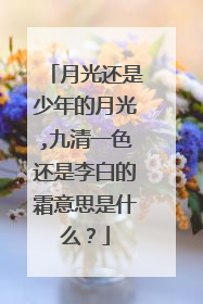 月光还是少年的月光,九清一色还是李白的霜意思是什么?