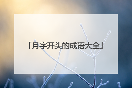 月字开头的成语大全