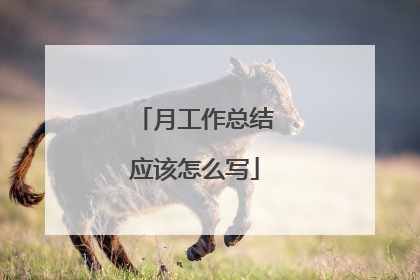 月工作总结应该怎么写