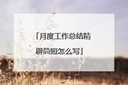 月度工作总结精辟简短怎么写