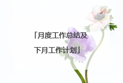 月度工作总结及下月工作计划