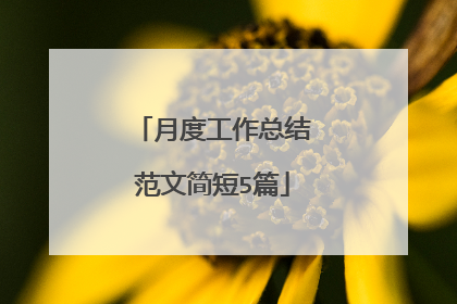 月度工作总结范文简短5篇