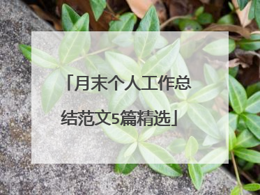 月末个人工作总结范文5篇精选