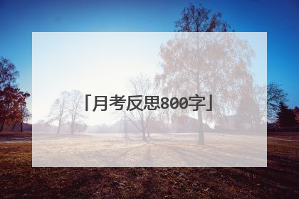 月考反思800字