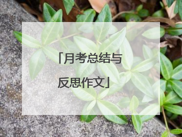 月考总结与反思作文