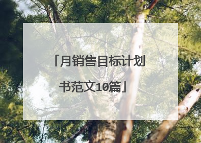 月销售目标计划书范文10篇