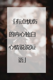 有点忧伤的内心独白心情说说短语