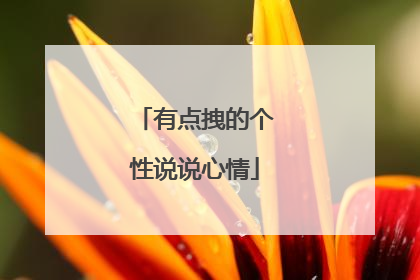 有点拽的个性说说心情