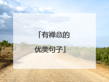 有禅意的优美句子