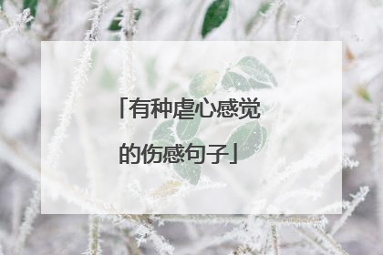 有种虐心感觉的伤感句子