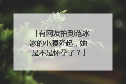 有网友拍到范冰冰的小腹隆起,她是不是怀孕了?