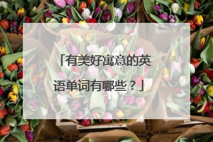 有美好寓意的英语单词有哪些？