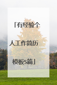 有经验个人工作简历模板5篇