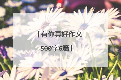 有你真好作文500字6篇