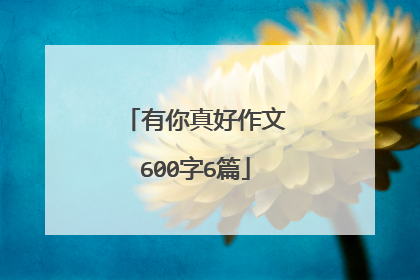 有你真好作文600字6篇