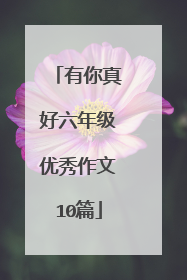 有你真好六年级优秀作文10篇