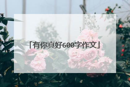 有你真好600字作文