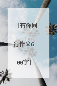 有你同行作文600字