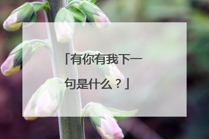 有你有我下一句是什么?