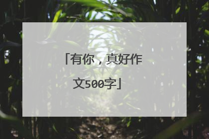 有你，真好作文500字