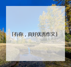 有你，真好优秀作文