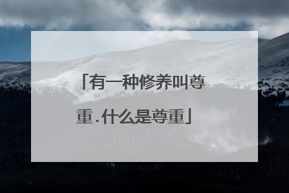 有一种修养叫尊重.什么是尊重