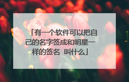 有一个软件可以把自己的名字签成和明星一样的签名 叫什么