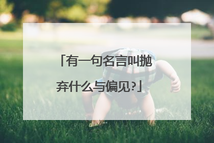 有一句名言叫抛弃什么与偏见?