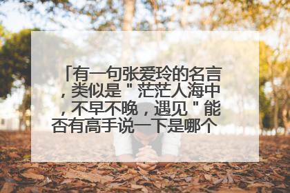 有一句张爱玲的名言,类似是"茫茫人海中,不早不晚,遇见"能否有高手说一下是哪个名言,要整句的。谢