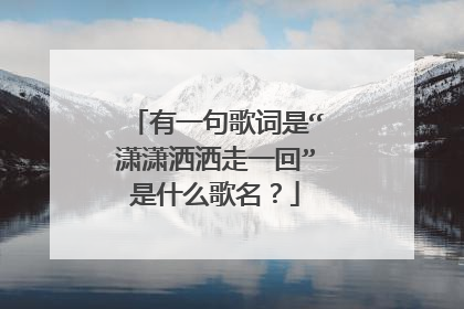 有一句歌词是“潇潇洒洒走一回”是什么歌名?