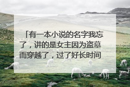 有一本小说的名字我忘了，讲的是女主因为盗墓而穿越了，过了好长时间她的师兄也穿了过来找她而且扮成了一