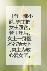 有一部小说,男主把女主毁容,若干年后,女主一身医术名扬天下,男主为救心爱女子,上门求药,求名字？