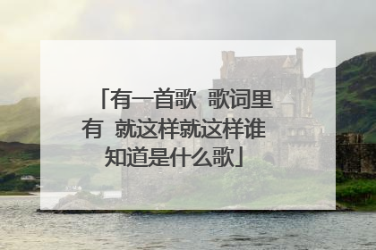 有一首歌 歌词里有 就这样就这样谁知道是什么歌