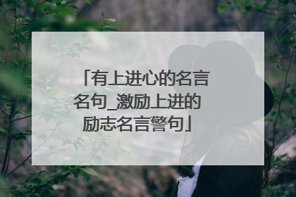 有上进心的名言名句_激励上进的励志名言警句