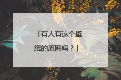 有人有这个壁纸的原图吗?