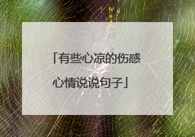 有些心凉的伤感心情说说句子