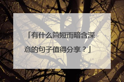 有什么简短而暗含深意的句子值得分享?