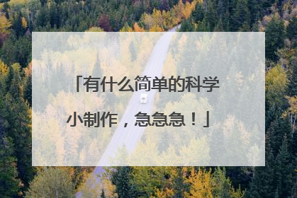 有什么简单的科学小制作,急急急!