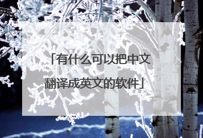 有什么可以把中文翻译成英文的软件