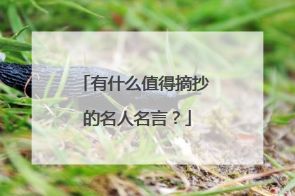有什么值得摘抄的名人名言?