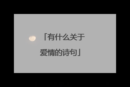 有什么关于爱情的诗句