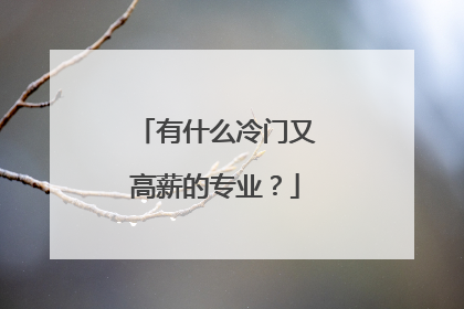 有什么冷门又高薪的专业？