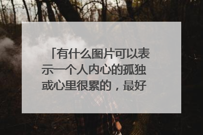 有什么图片可以表示一个人内心的孤独或心里很累的，最好图片上不要出现孤独累的字眼。