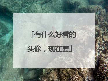有什么好看的头像,现在要