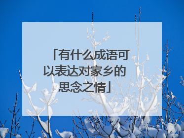 有什么成语可以表达对家乡的思念之情