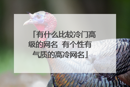 有什么比较冷门高级的网名 有个性有气质的高冷网名