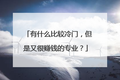 有什么比较冷门,但是又很赚钱的专业?