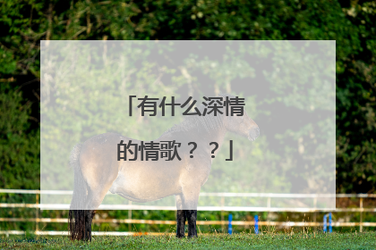 有什么深情的情歌？？