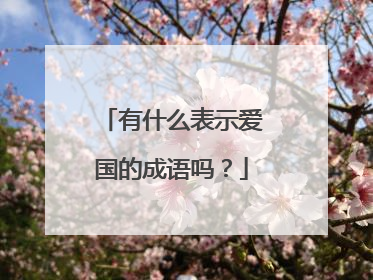 有什么表示爱国的成语吗？